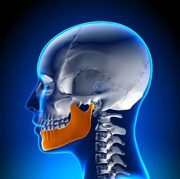 Illustrated x ray of head with jawbone highlighted